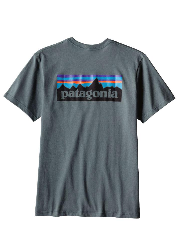 Patagonia Men's P-6 Logo Cotton T-Shirt - Saint Bernard