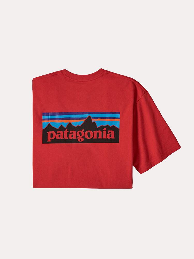 Patagonia Men's P-6 Responsibili-Tee - Saint Bernard