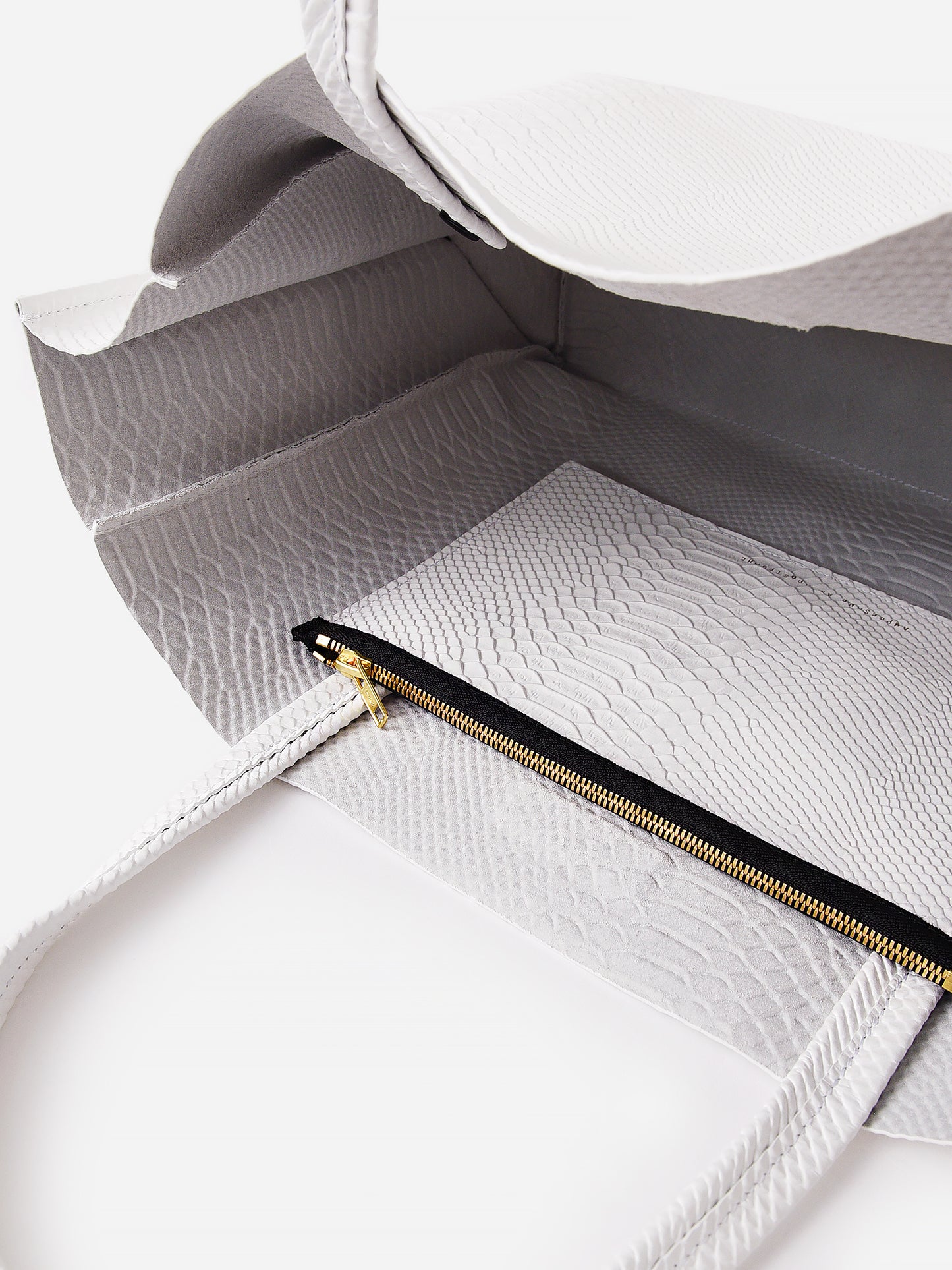 5-3-PYxBRIGHTWHITEPYTHON-alt2