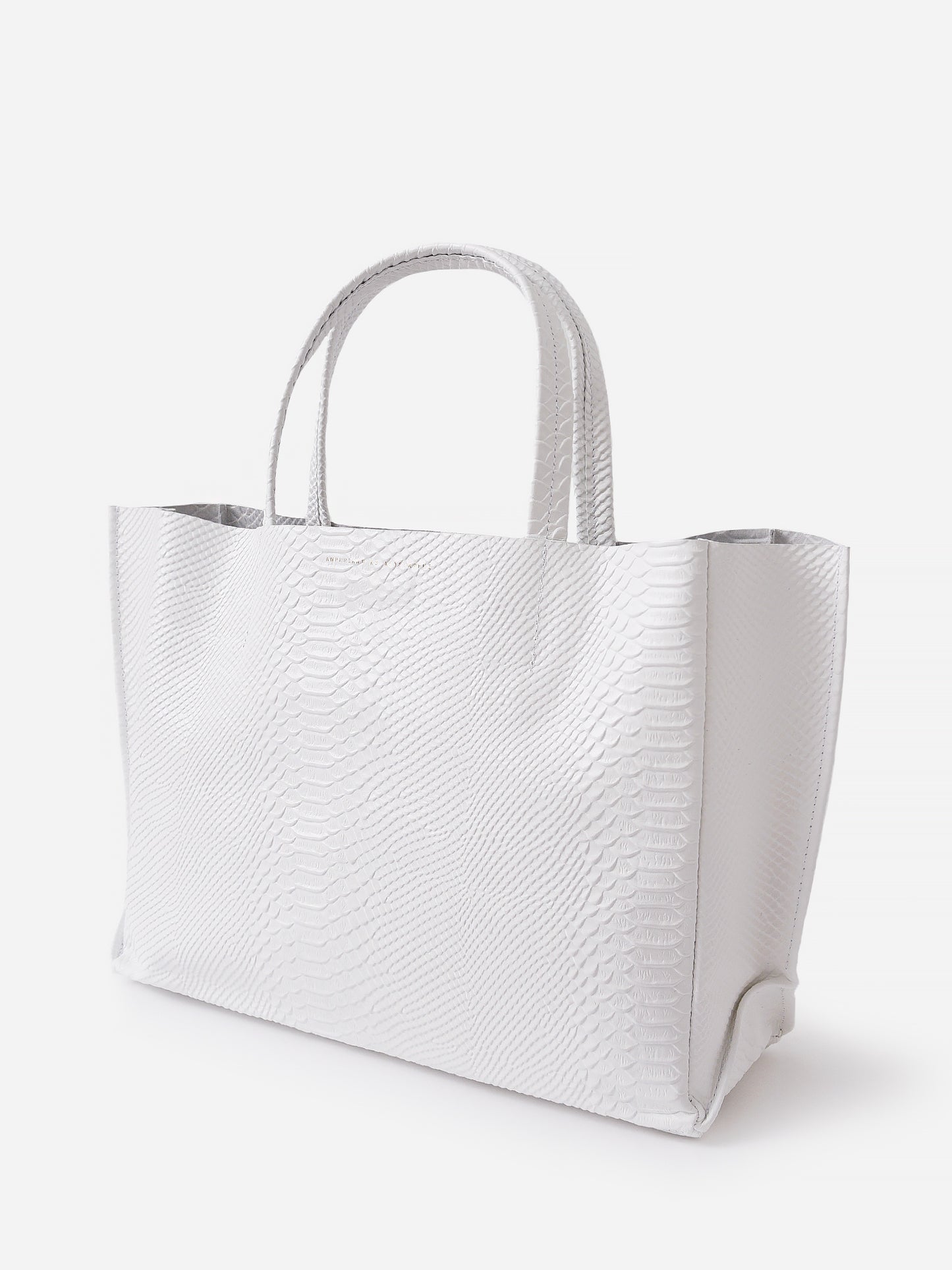 5-3-PYxBRIGHTWHITEPYTHON-alt3