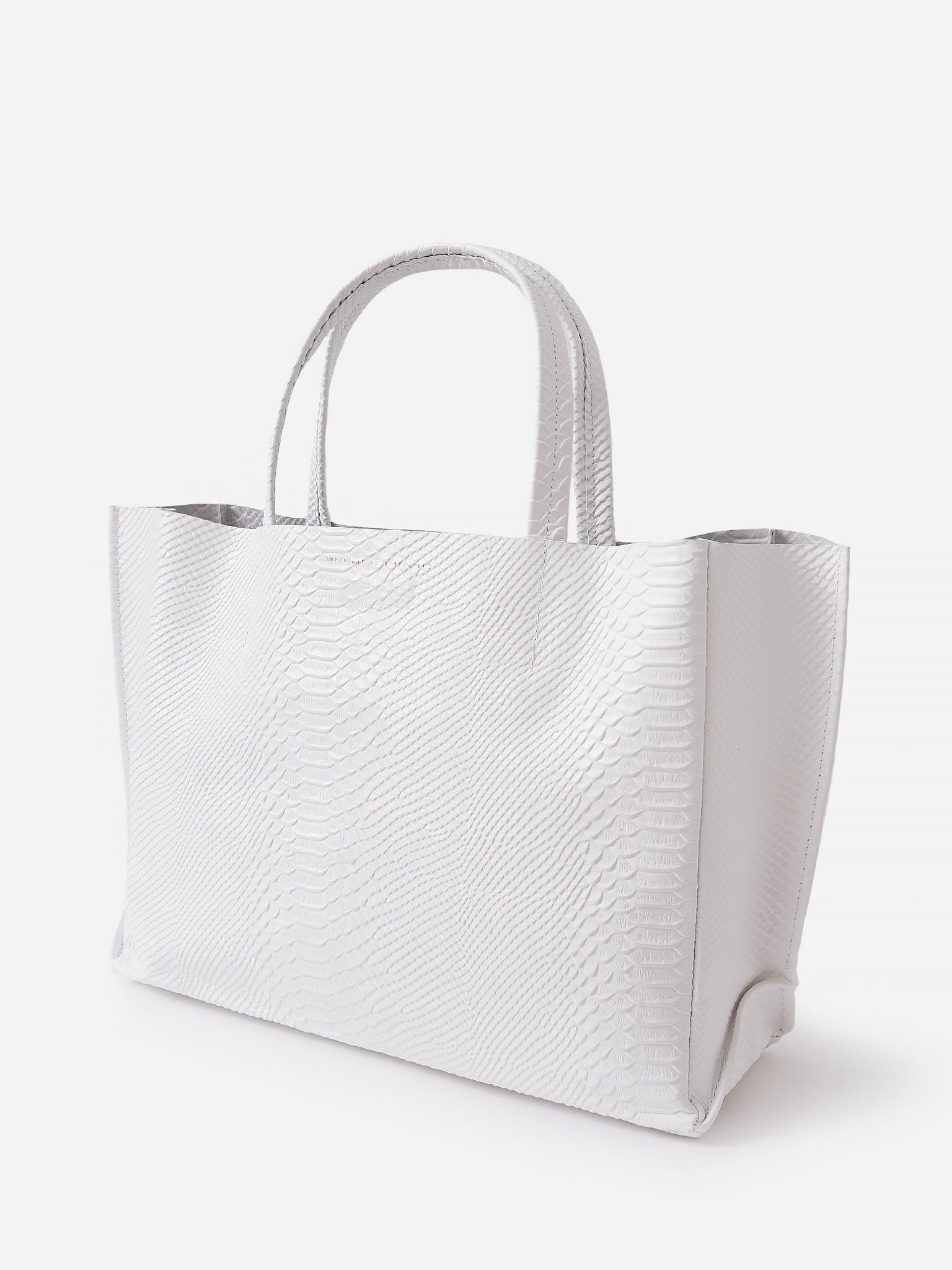 5-3-PYxBRIGHTWHITEPYTHON-alt3