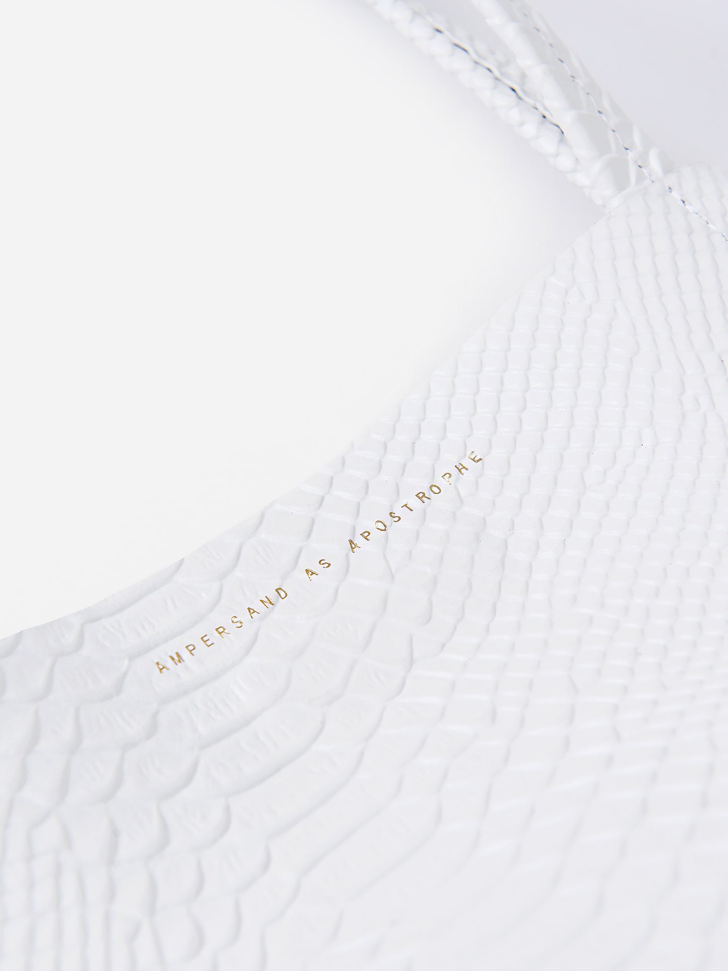 5-3-PYxBRIGHTWHITEPYTHON-alt4