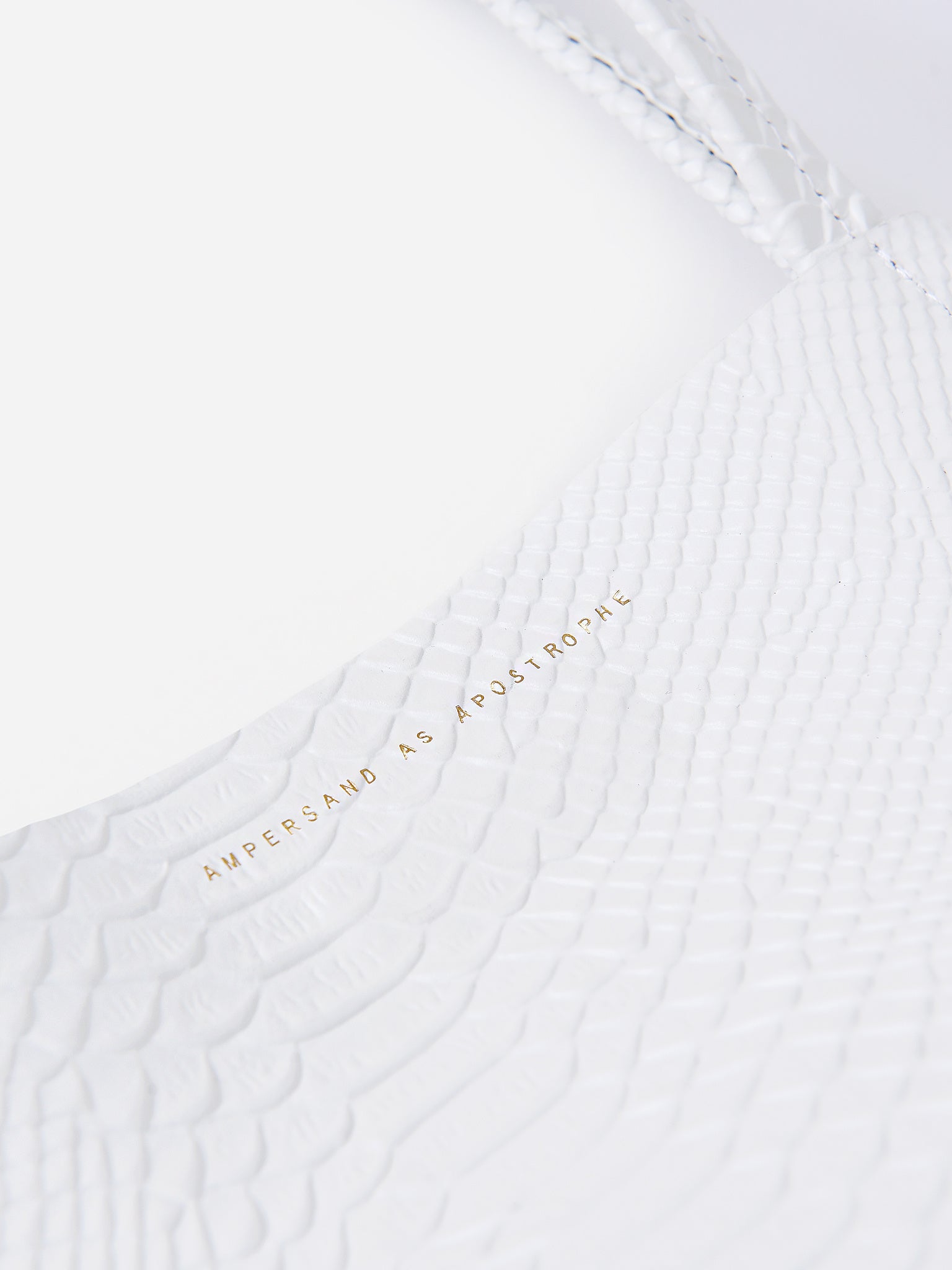 5-3-PYxBRIGHTWHITEPYTHON-alt4