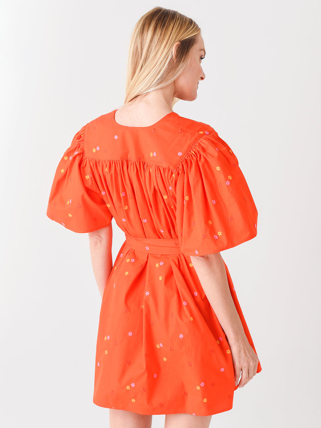 50155075POPxPOPPY-alt3