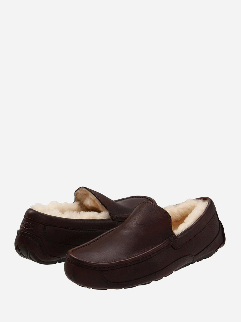 Ugg Men's Ascott Slipper - Saint Bernard