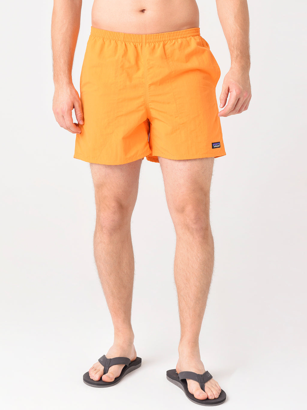 Patagonia Men's Baggies 5" Short - Saint Bernard