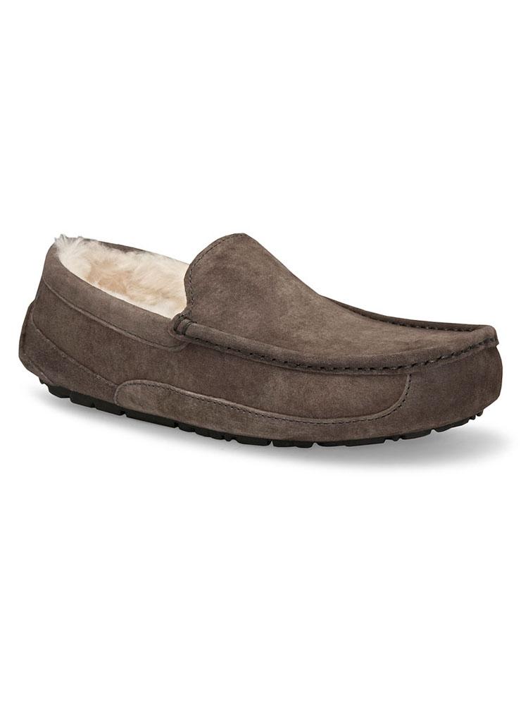 UGG Australia Men's Ascot Slipper - Saint Bernard