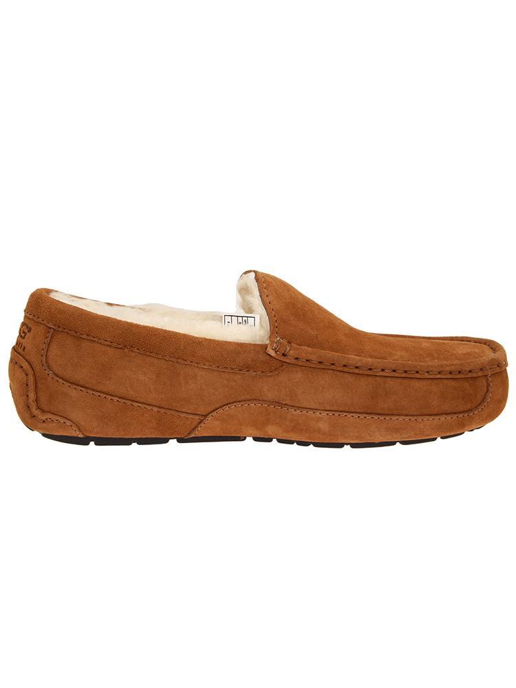 UGG Australia Men's Ascot Slipper - Saint Bernard