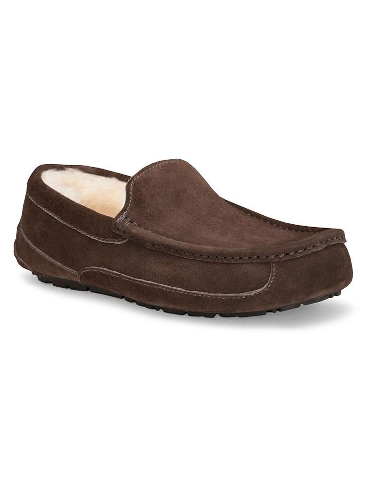 UGG Australia Men's Ascot Slipper - Saint Bernard