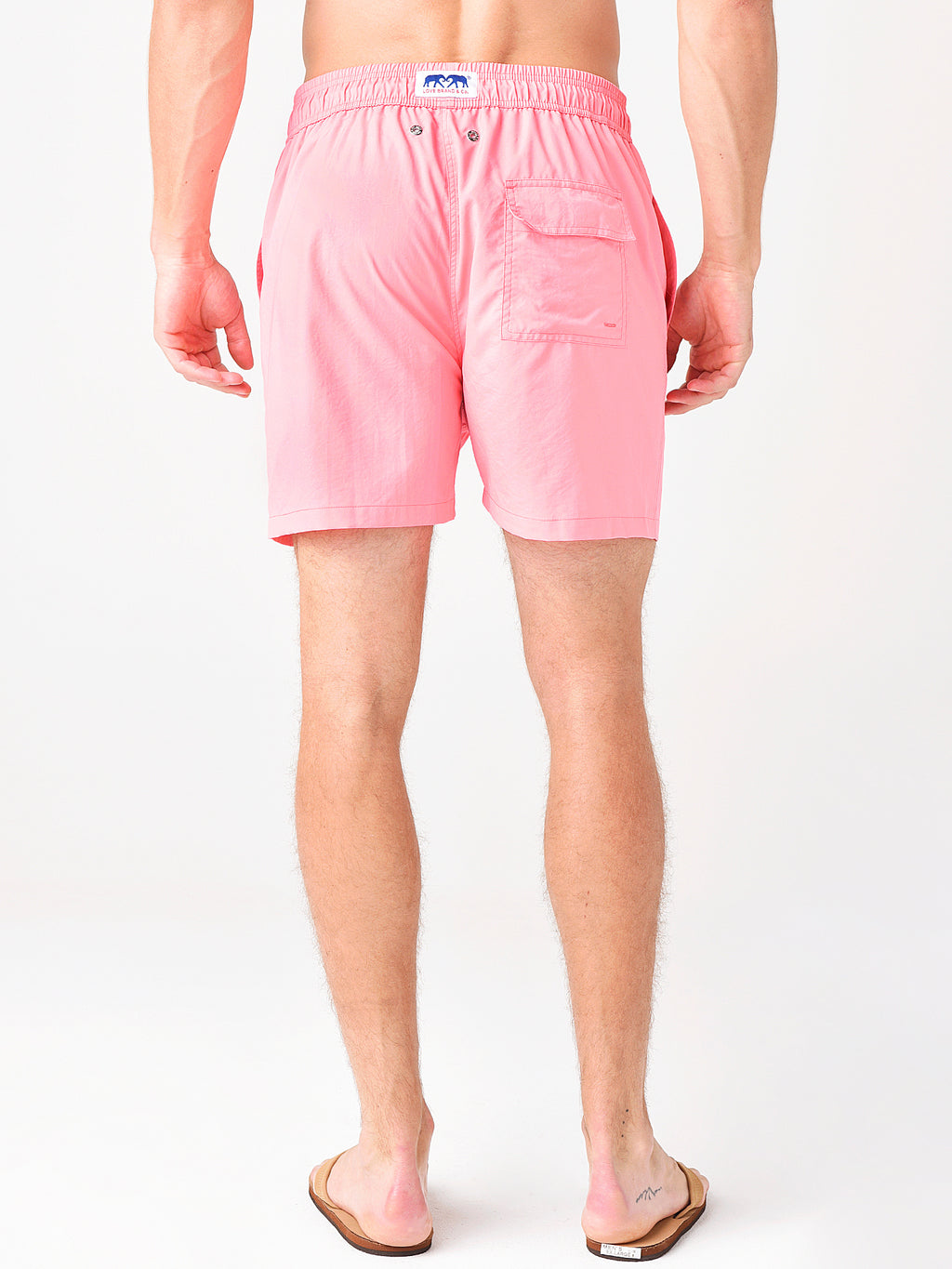 600-812xWATERMELON-alt3