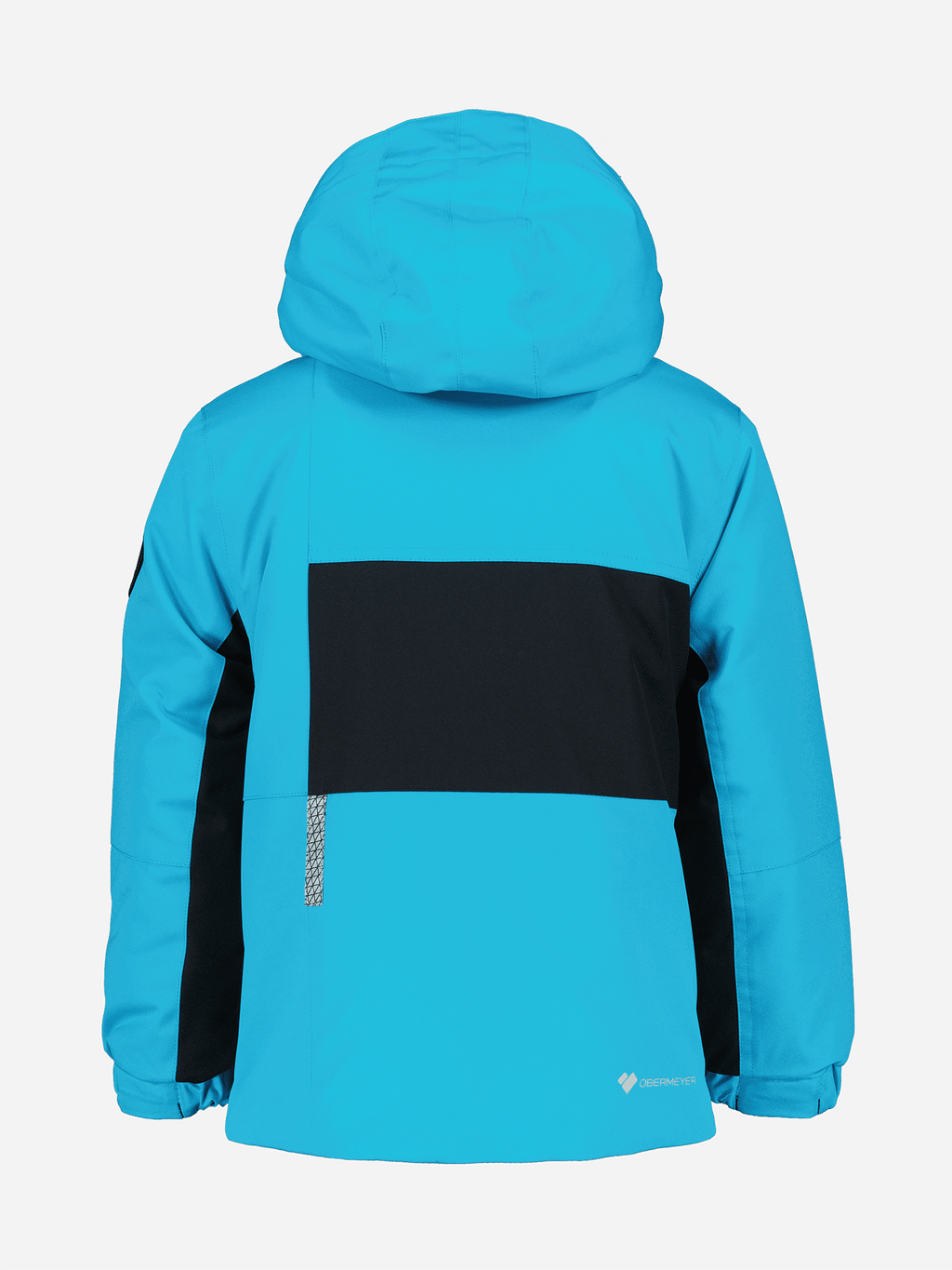 61073xBLUEBIRD-alt1