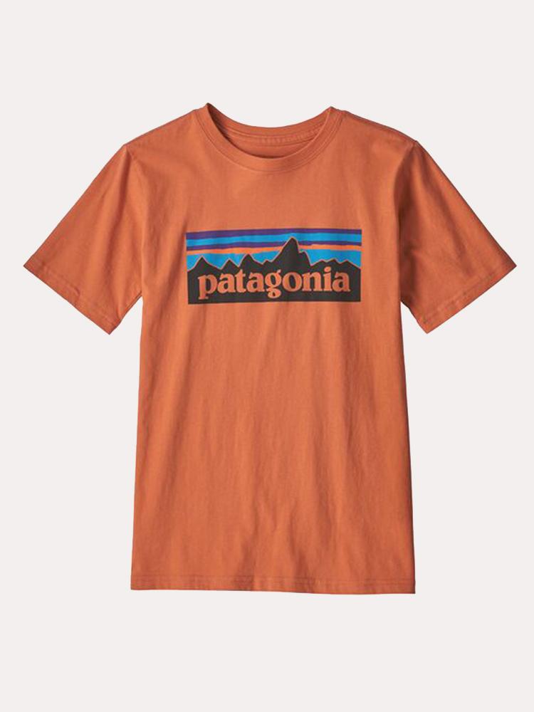 Patagonia Boys' P-6 Logo Organic Cotton T-Shirt