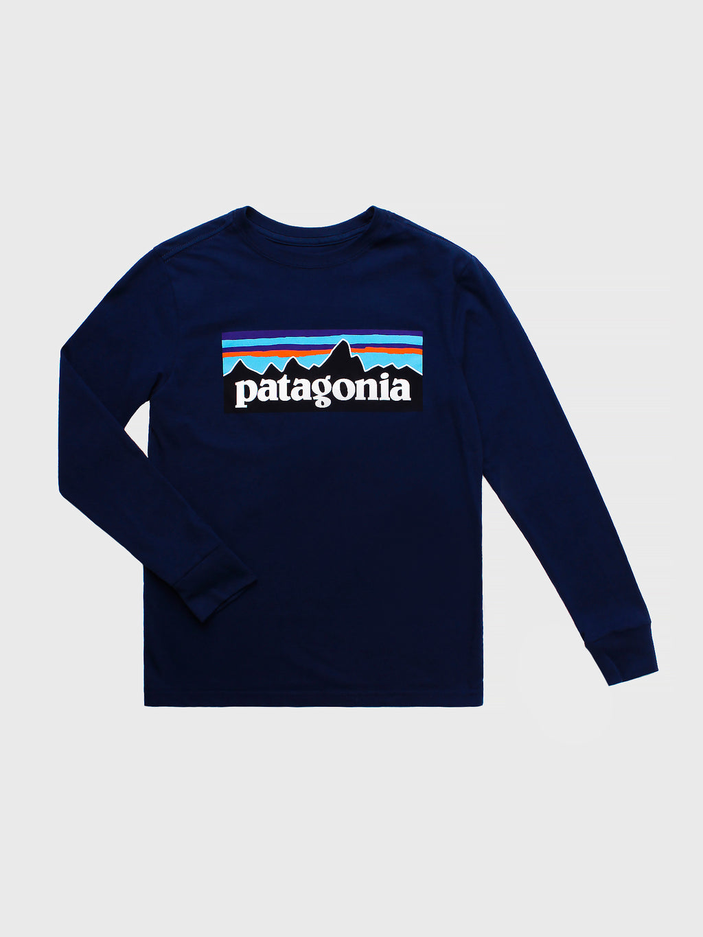 Patagonia Boys' Long-Sleeved Graphic Organic Cotton T-Shirt - Saint Bernard