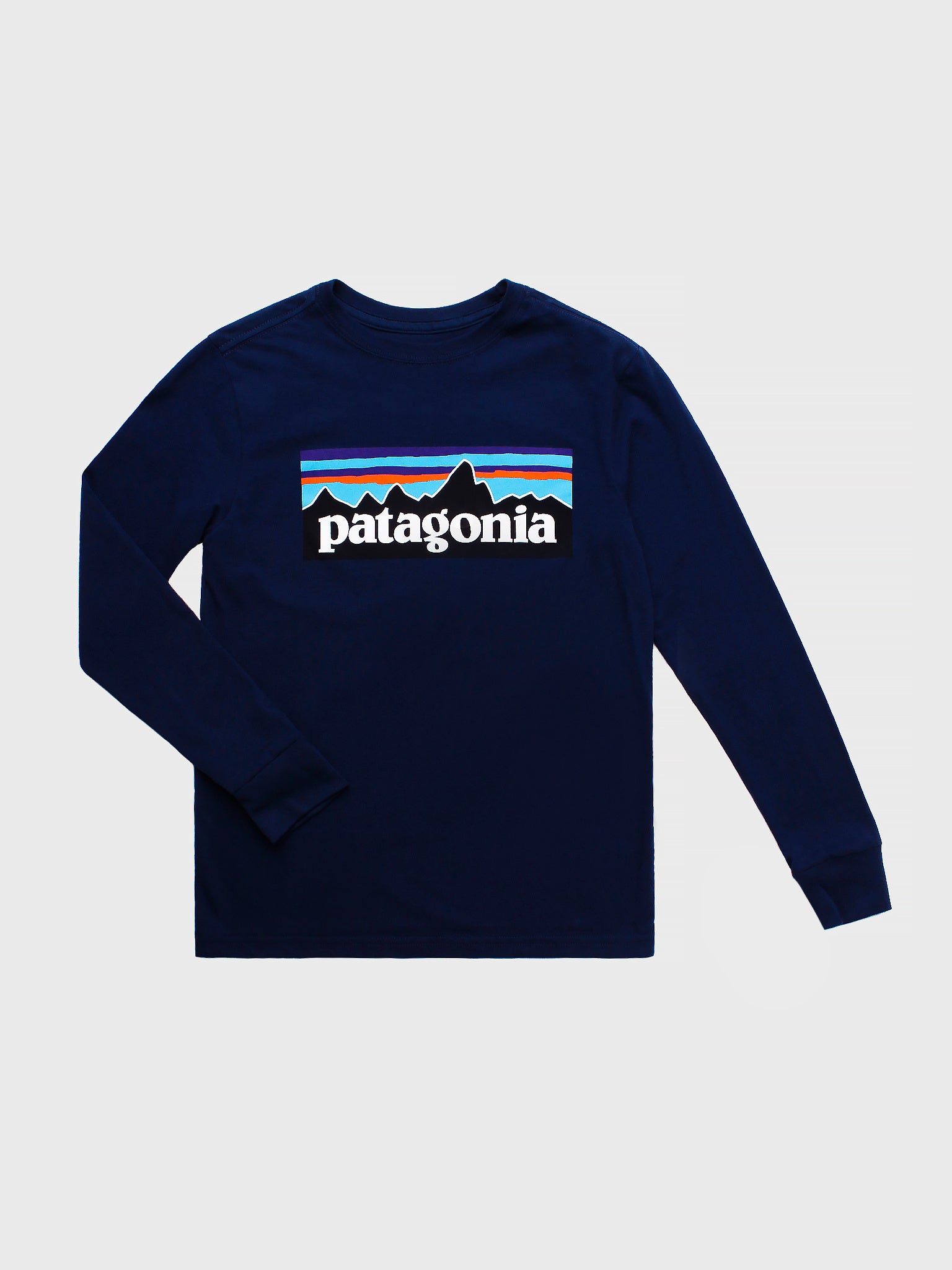 Patagonia Boys' Long-Sleeved Graphic Organic Cotton T-Shirt - Saint Bernard