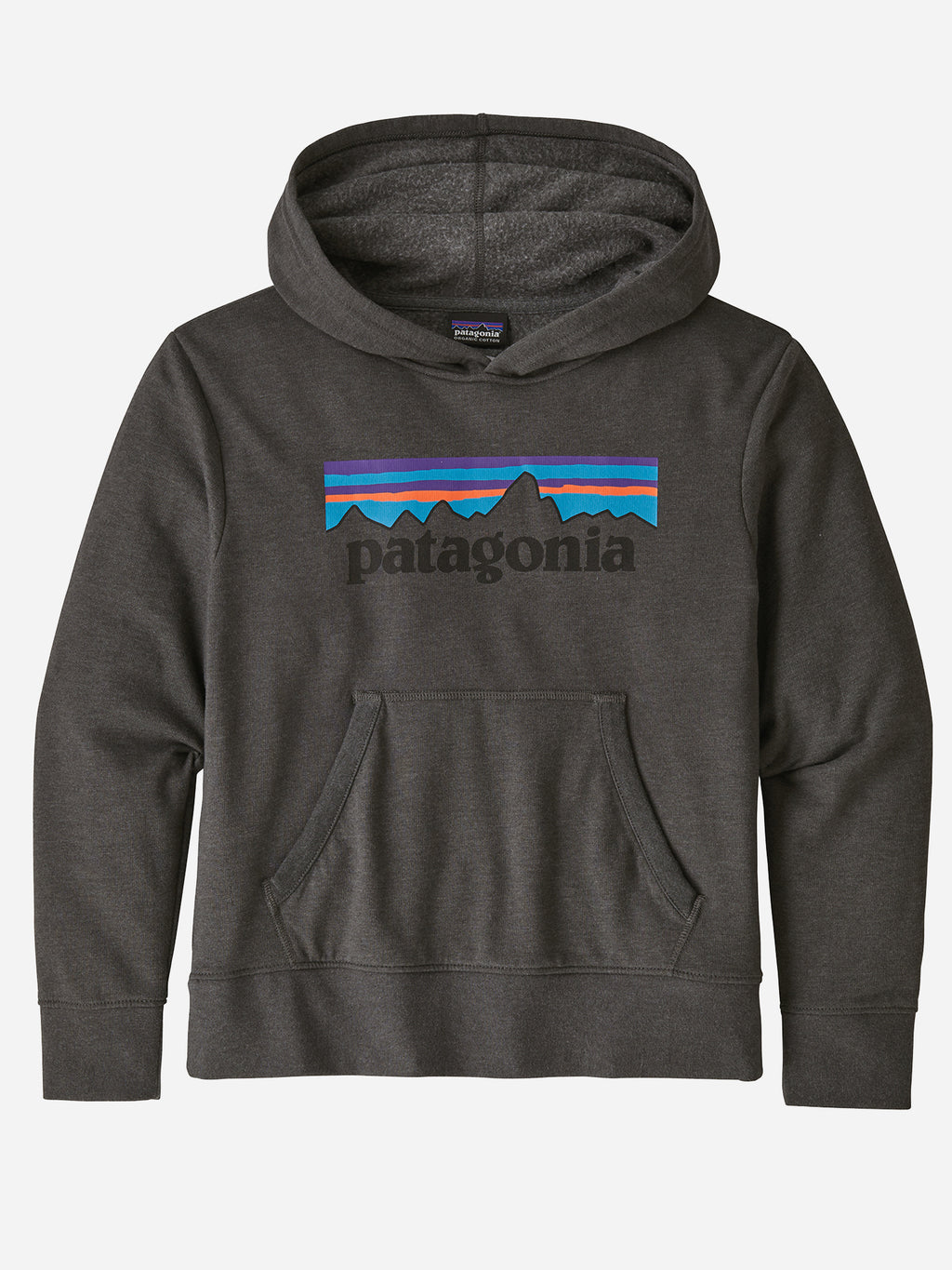 Patagonia Kids' Lightweight Graphic Hoody Sweatshirt - Saint Bernard