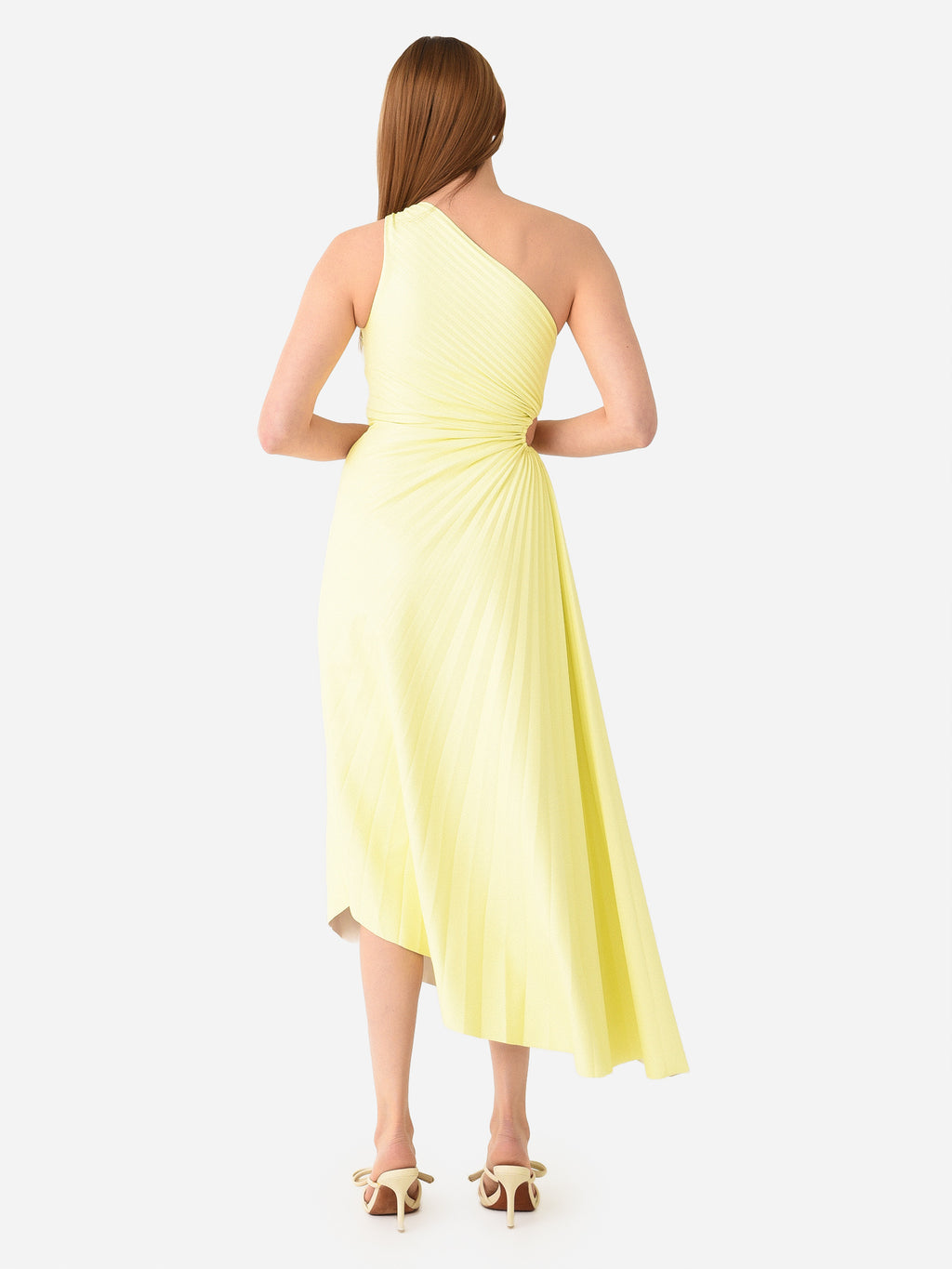 6DRES01671xCANARY-alt3