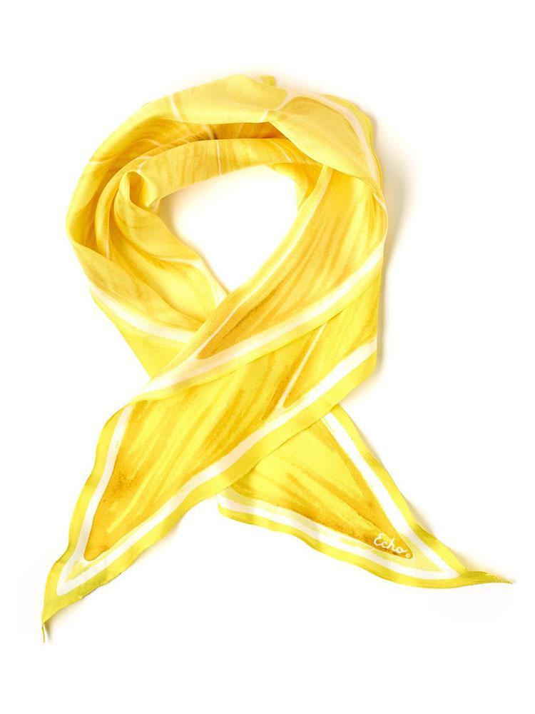 Echo Accessories Slice O' Fruit Silk Diamond Scarf - Saint Bernard
