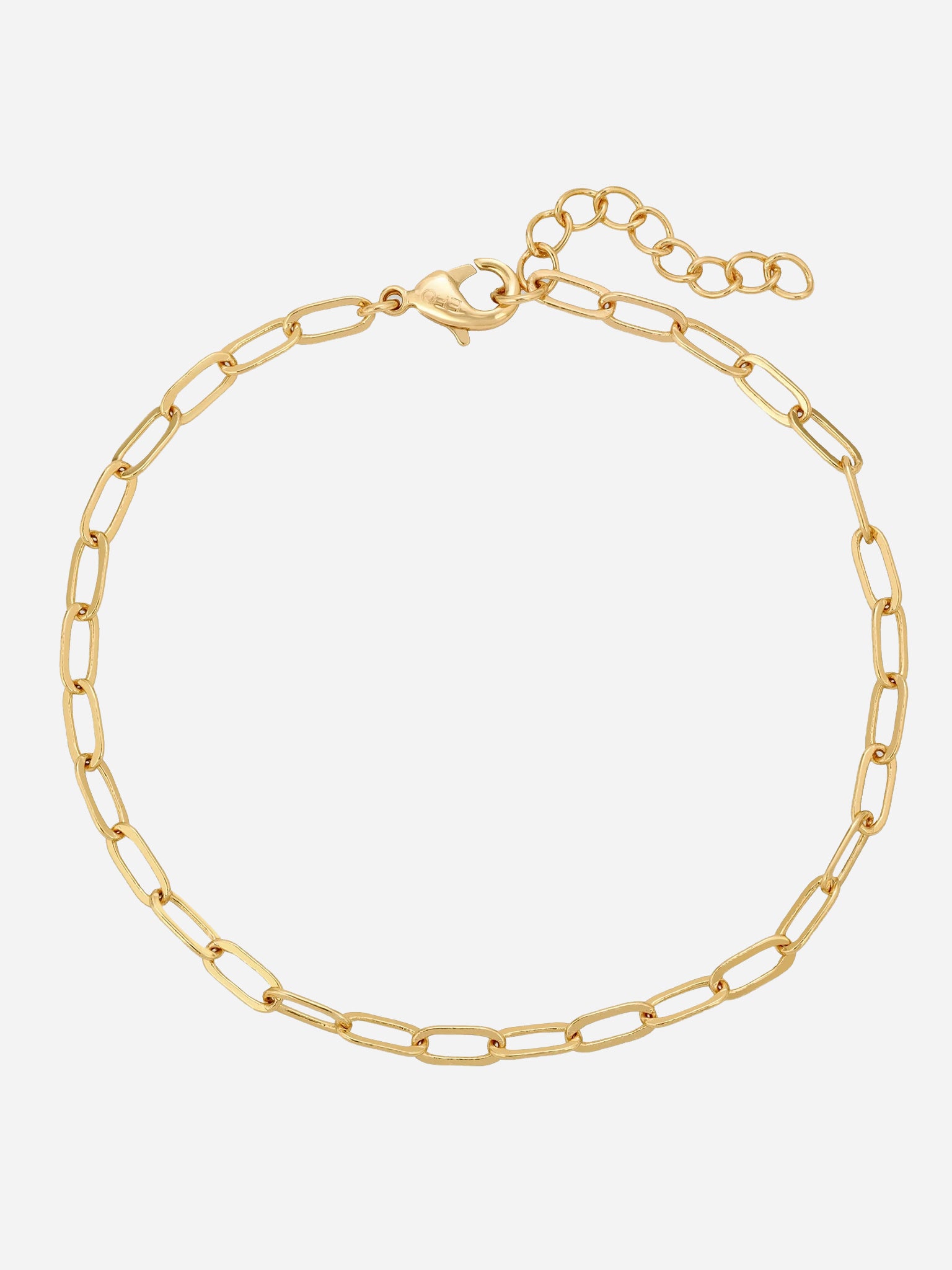 Eight Five One Women's Gemma Thin Chain Bracelet - Saint Bernard