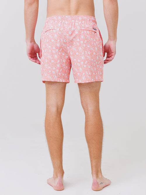 Southern Tide Men's Shell of a Good Time Swim Trunk