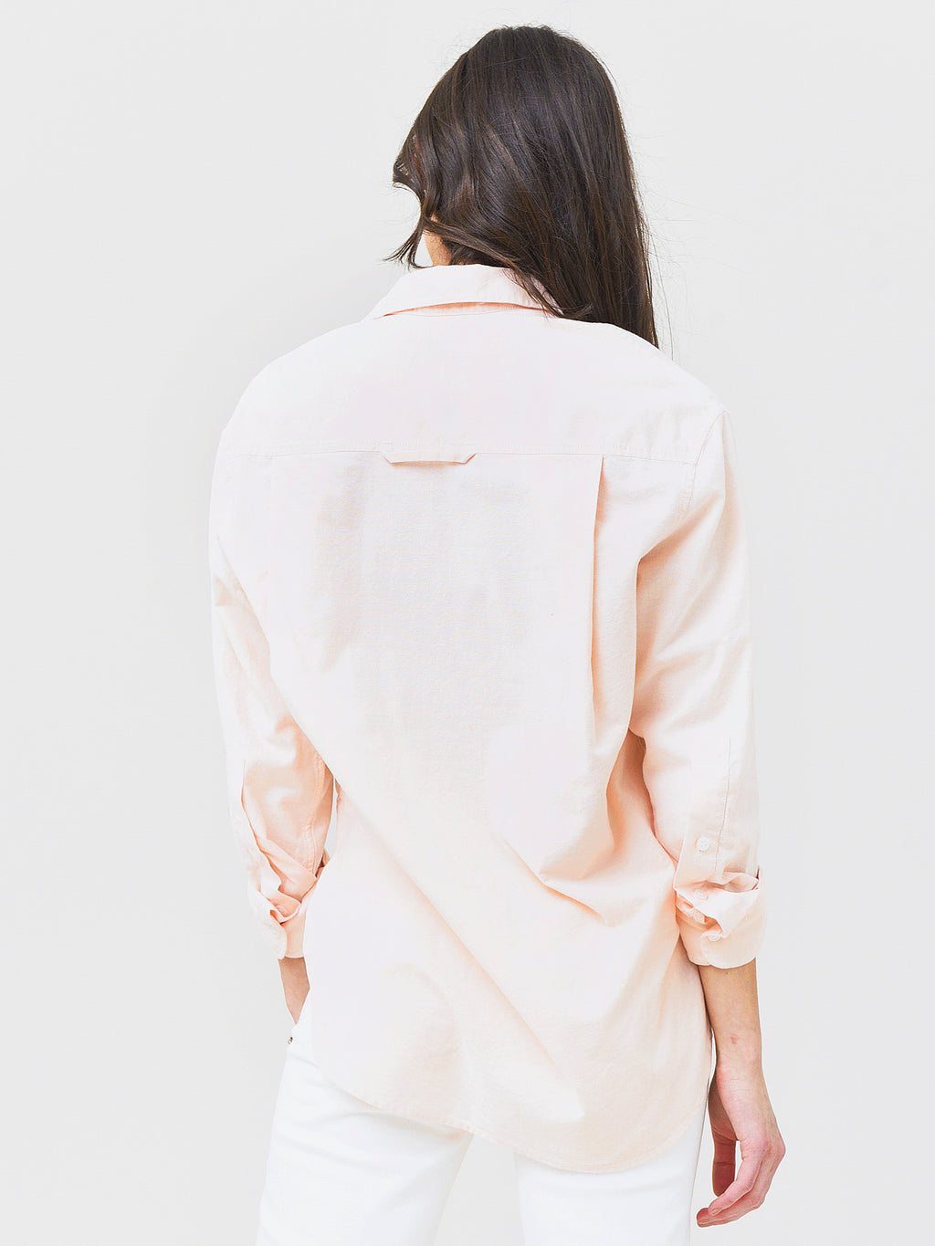 9103GxSHERBERT-alt1