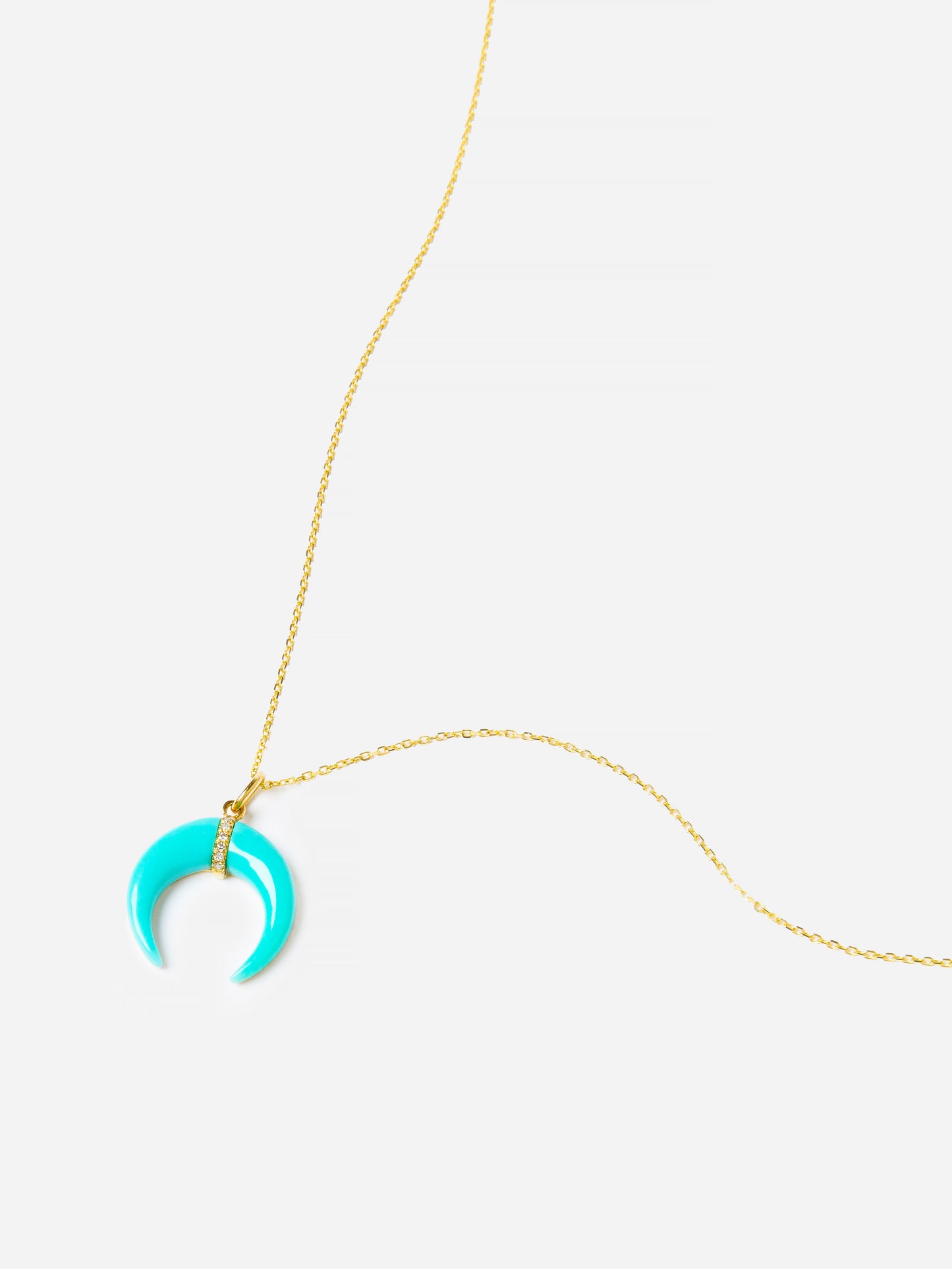 Francie B. Women's Turquoise Horn Necklace - Saint Bernard