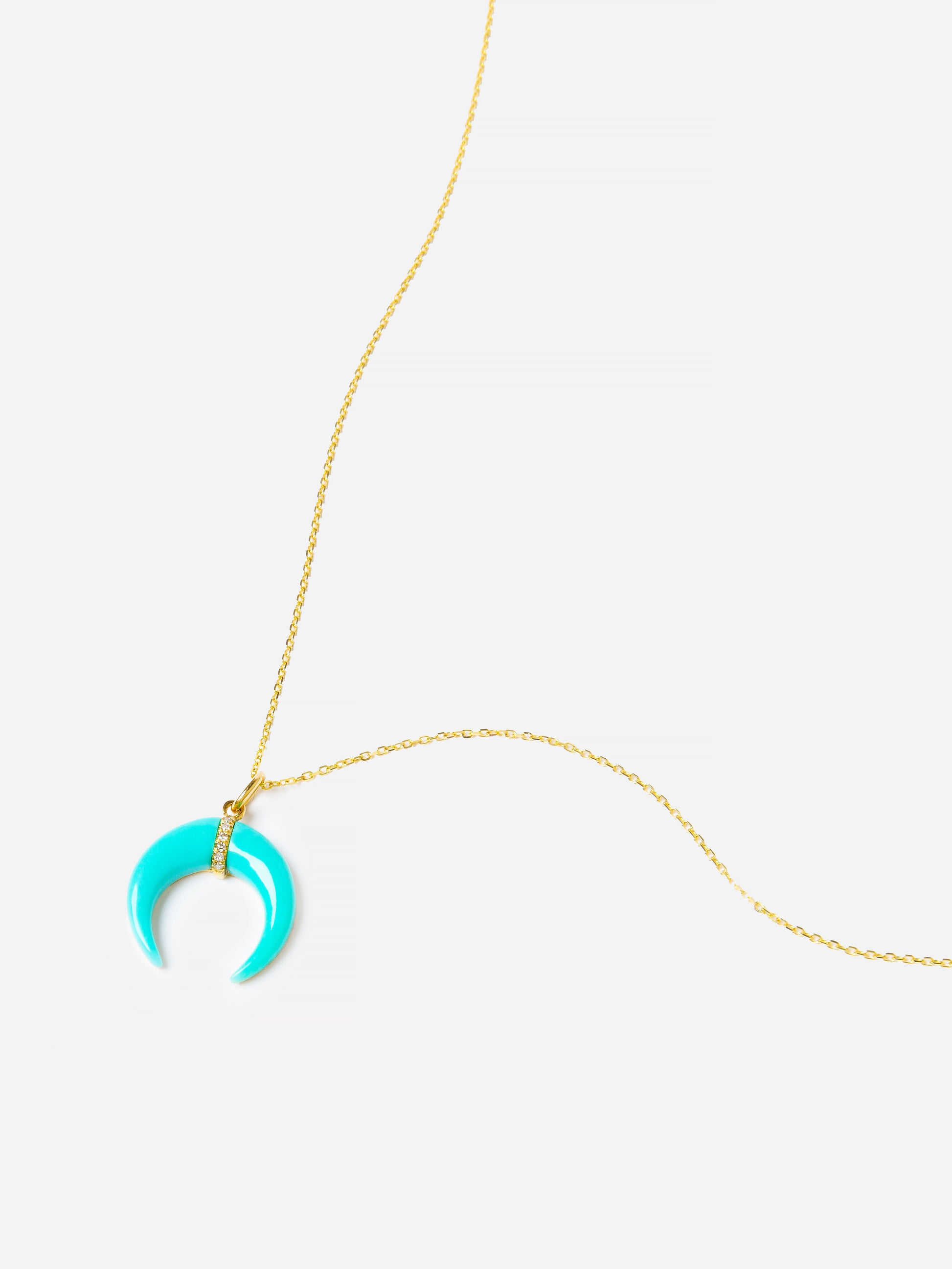 Francie B. Women's Turquoise Horn Necklace - Saint Bernard