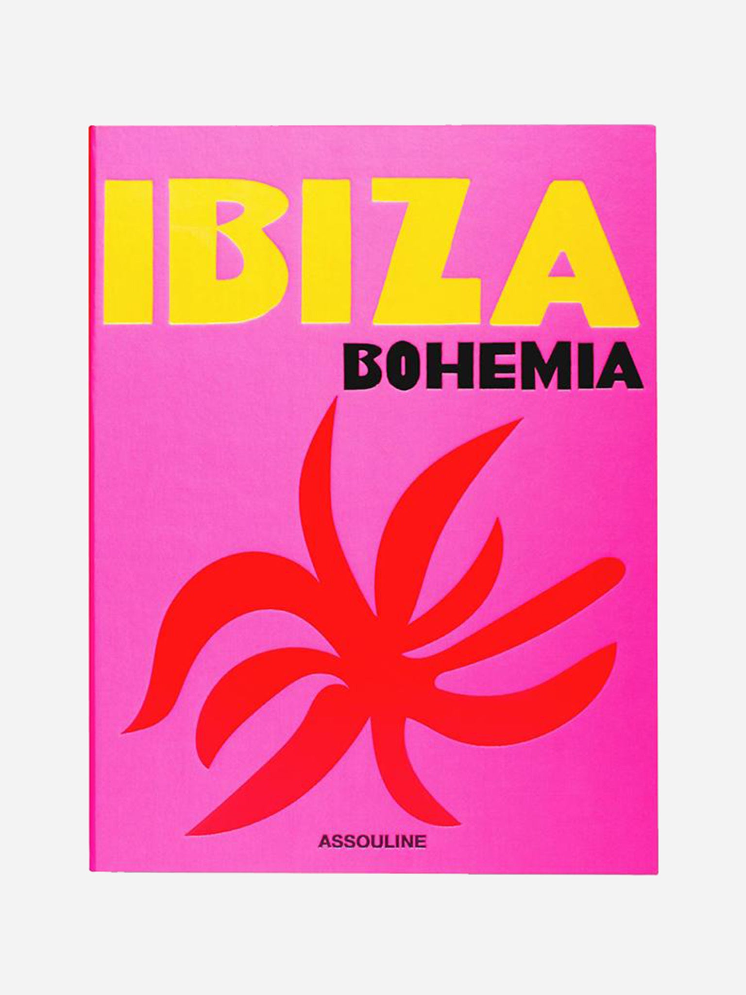Assouline Ibiza Bohemia - Saint Bernard