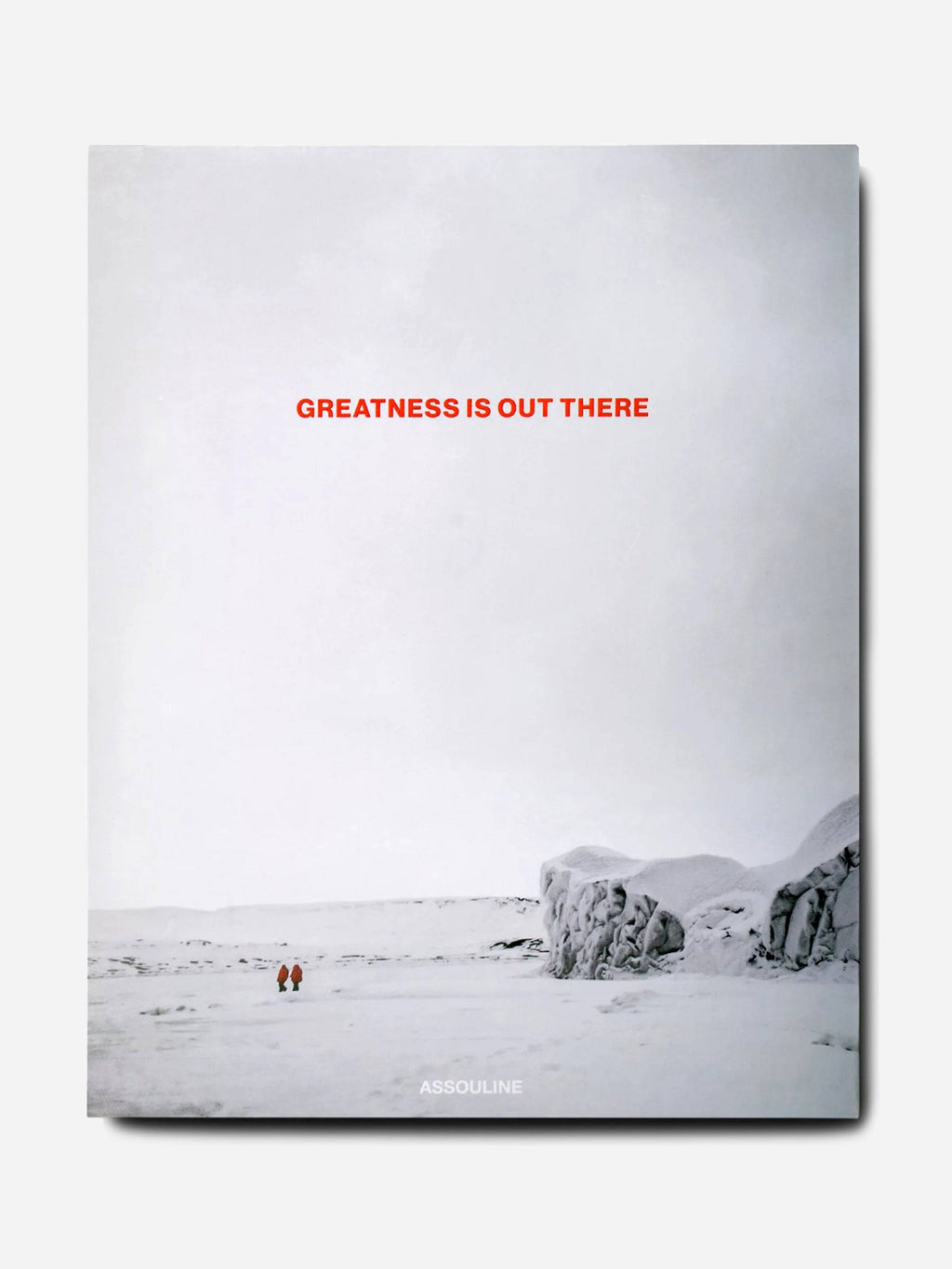Assouline Canada Goose - Saint Bernard