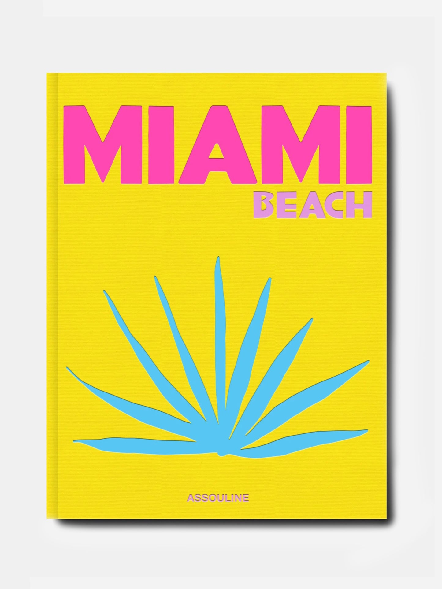Assouline Miami Beach Book - Saint Bernard