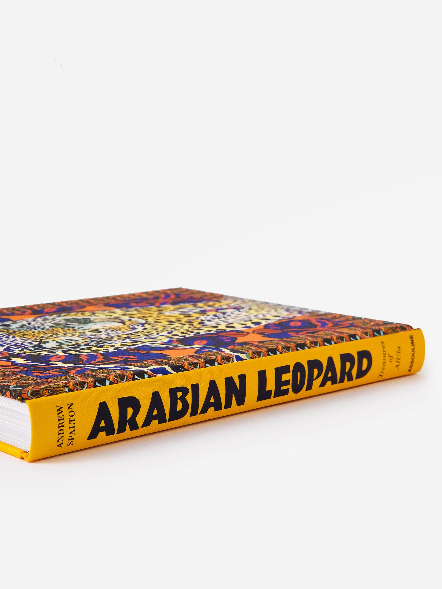 9781649800794xNA-alt3