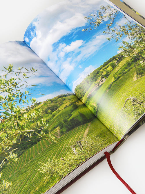 National Book Network 150 Vineyards You Need to Visit Before You Die