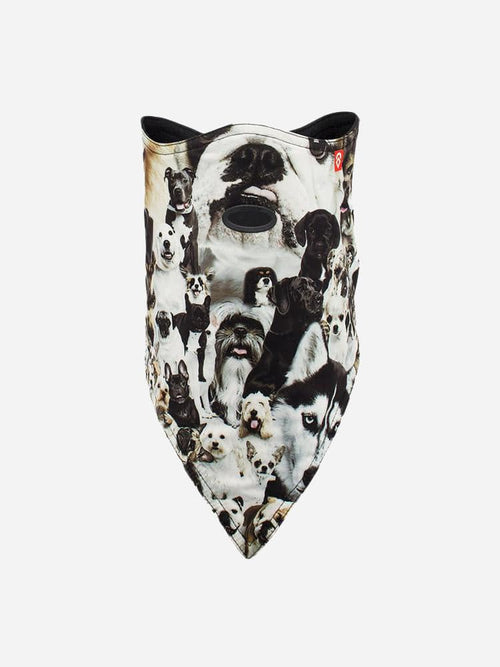 Airhole 2 Layer Facemask Standard
