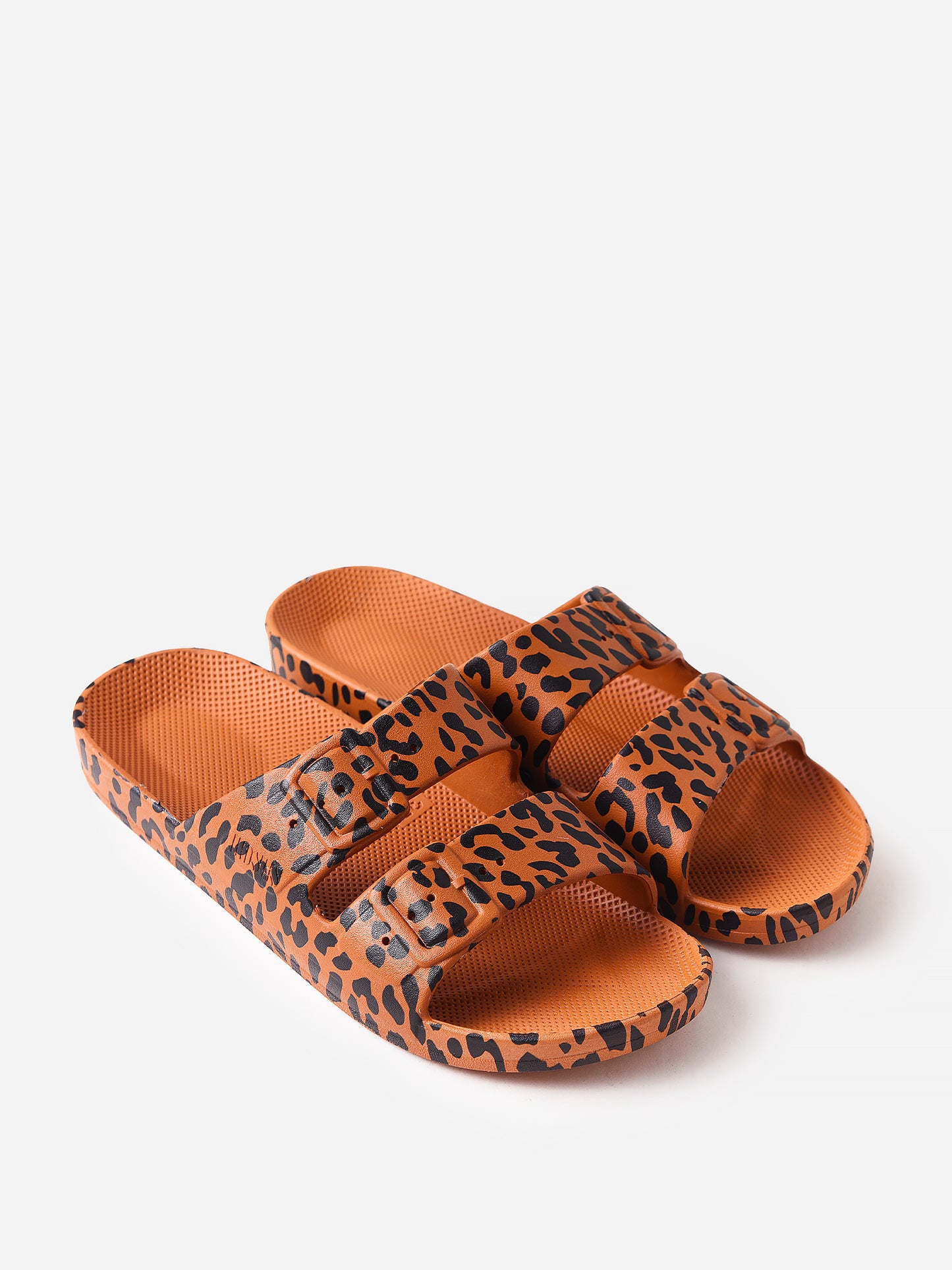 AFM002xLEOTOFFEE-alt2