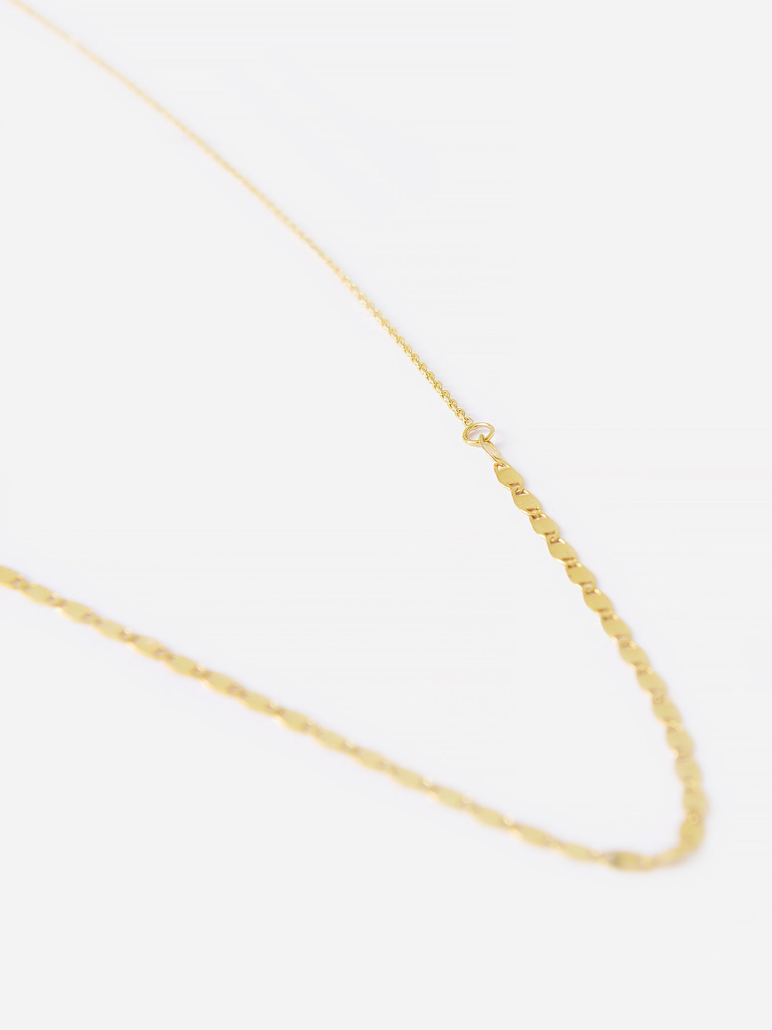Francie B. Ashleigh Choker Chain Necklace - Saint Bernard