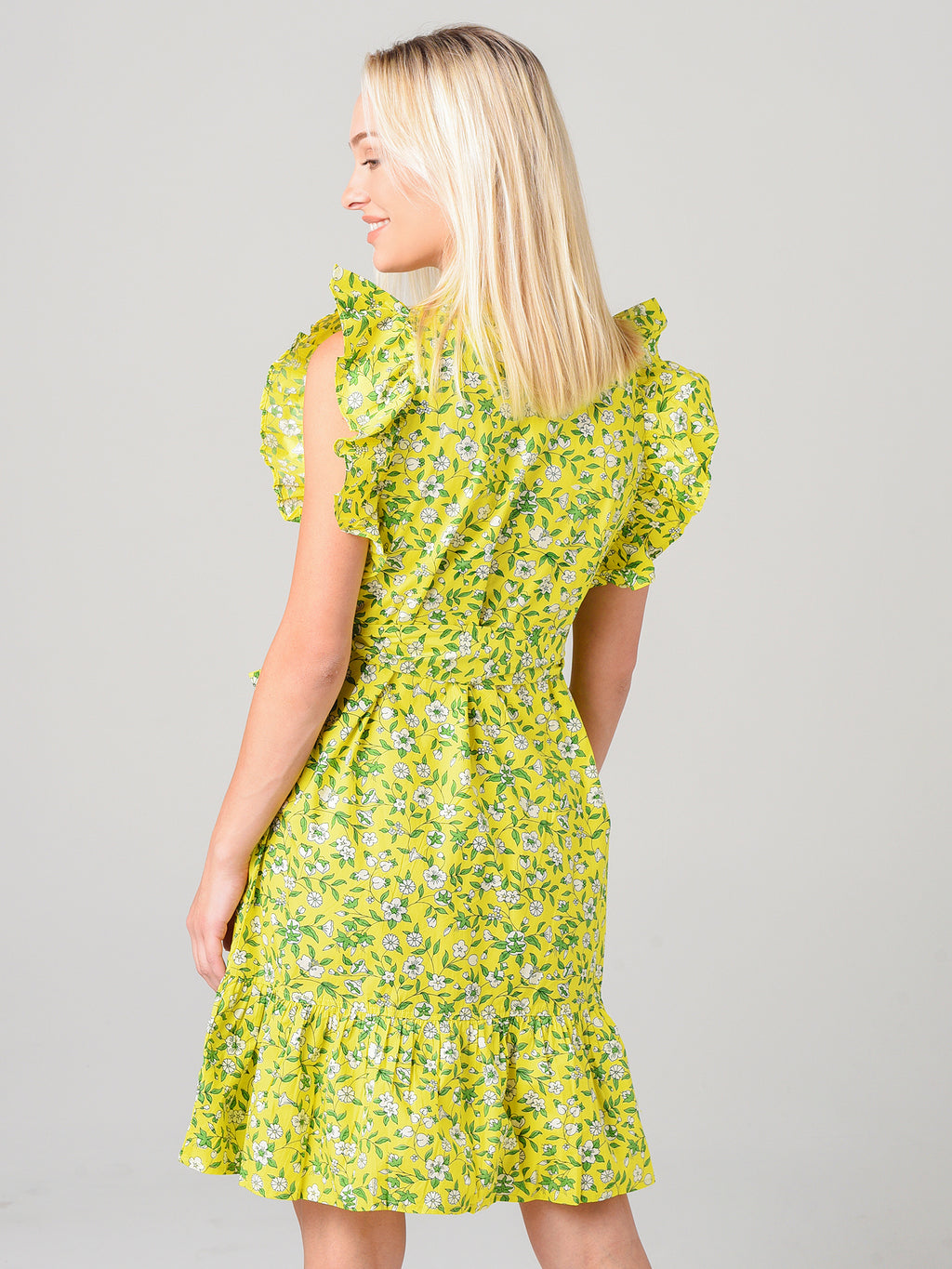 AUDREY MINI DRESSxAUDREYSPRIGAURORA-alt2