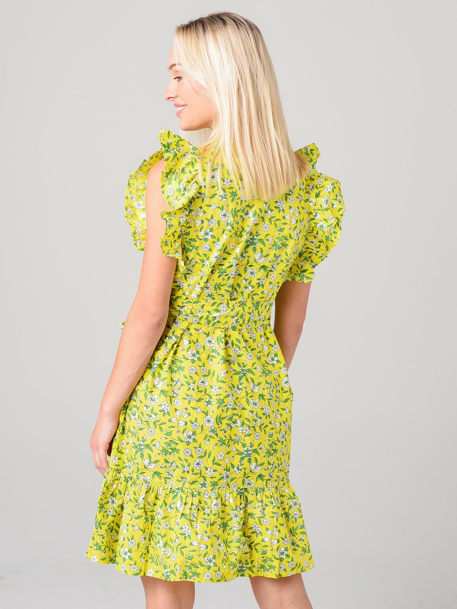 AUDREY MINI DRESSxAUDREYSPRIGAURORA-alt2