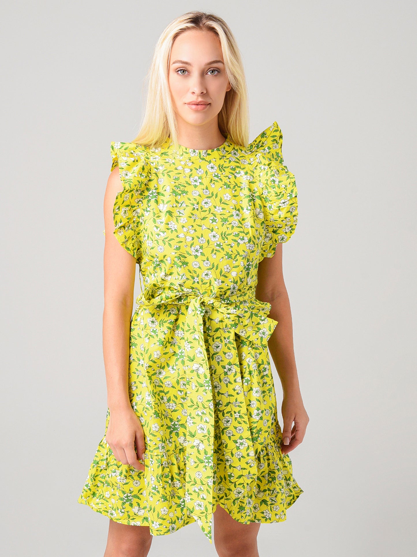 Banjanan Women's Audrey Mini Dress - Saint Bernard