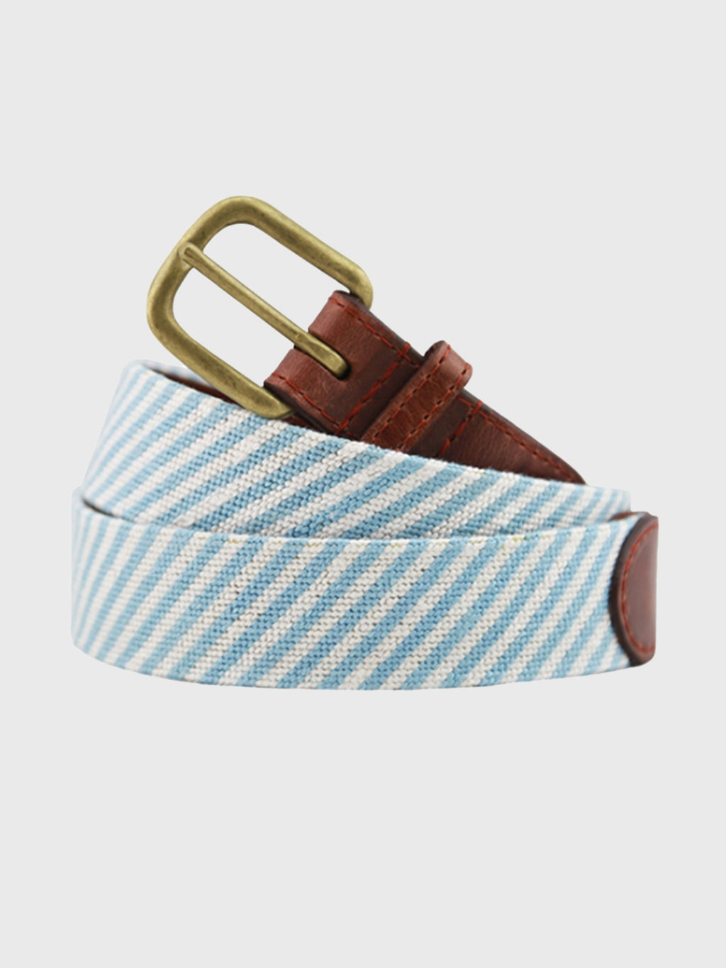 Smathers & Branson Men's Seersucker Needlepoint Belt - Saint Bernard