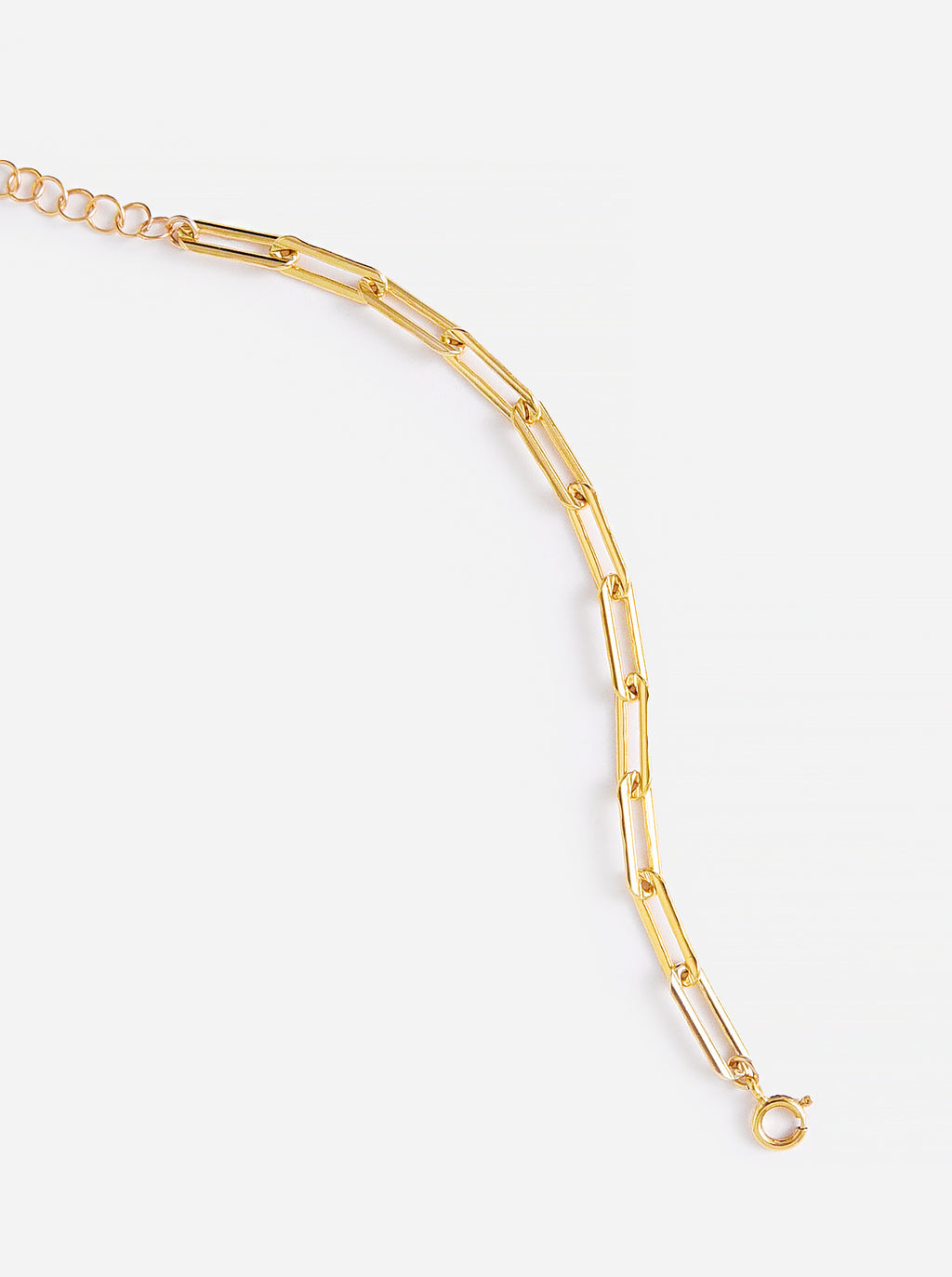 Bychari Women's Kelly Bracelet - Saint Bernard