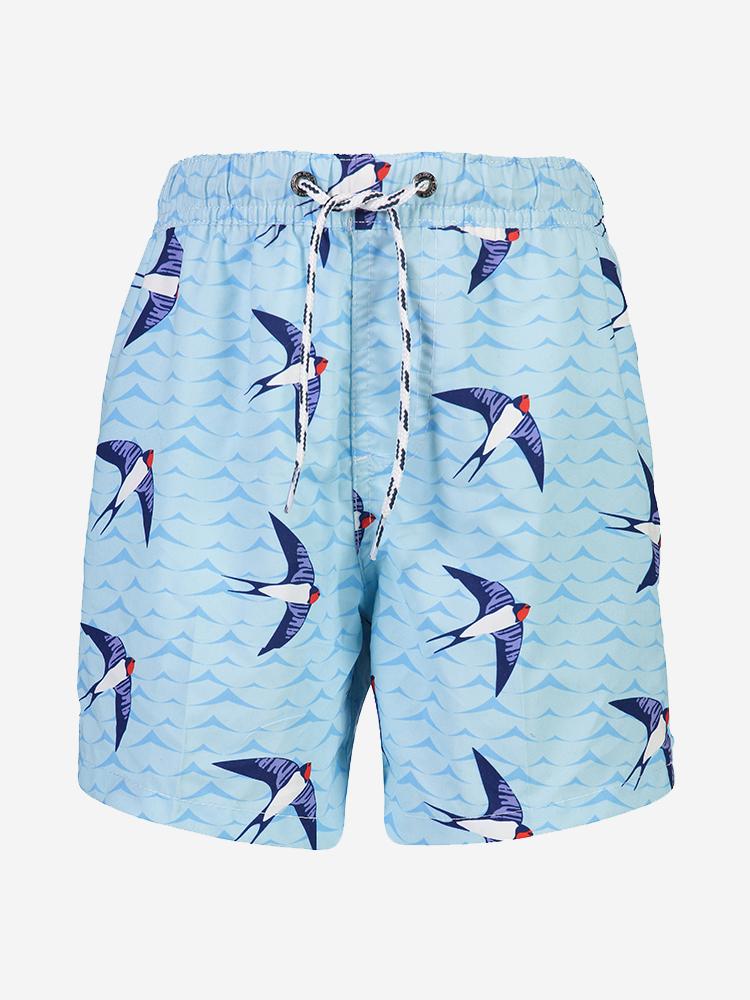 Snapper Rock Little Boys’ Taking Flight Board Short - Saint Bernard