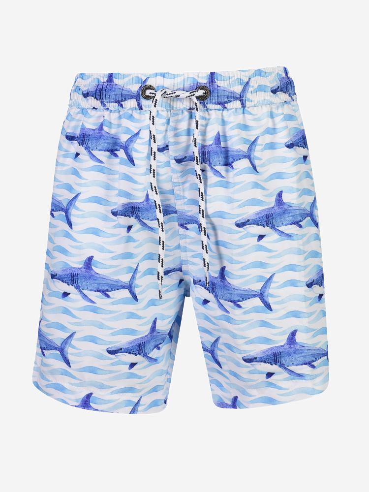 Snapper Rock Little Boys’ School Of Shark Board Short - Saint Bernard