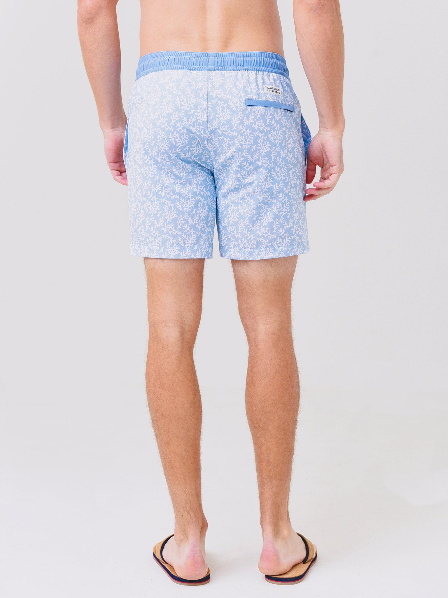 BAY79xMISTSEAWEED-alt3