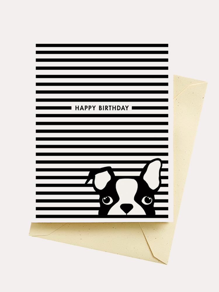 Seltzer Dog Stripes Birthday Card - Saint Bernard