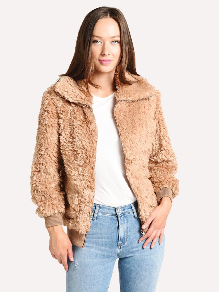 BB Dakota Teddy Or Not - Saint Bernard