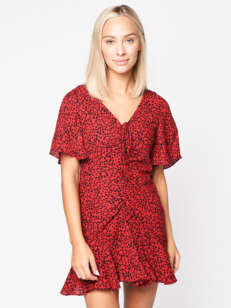 BB Dakota Women’s Party Animal Printed Dress - Saint Bernard