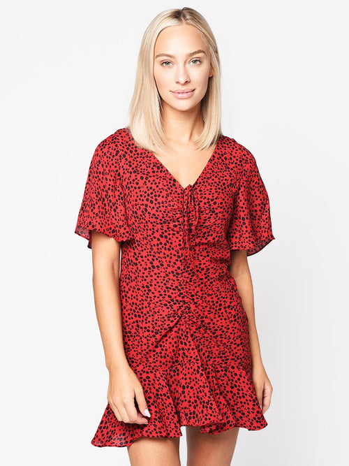 BB Dakota Women’s Party Animal Printed Dress
