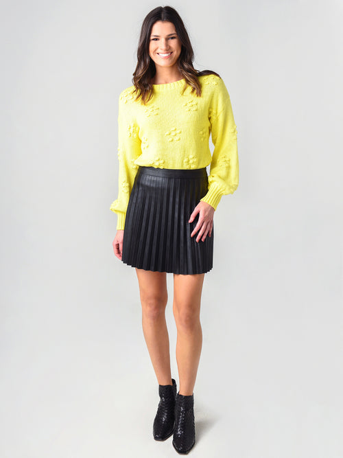 BB Dakota Women's Private School Skirt