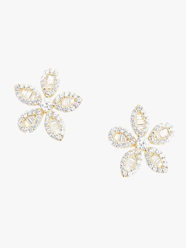 Shashi Bonita Stud - Saint Bernard