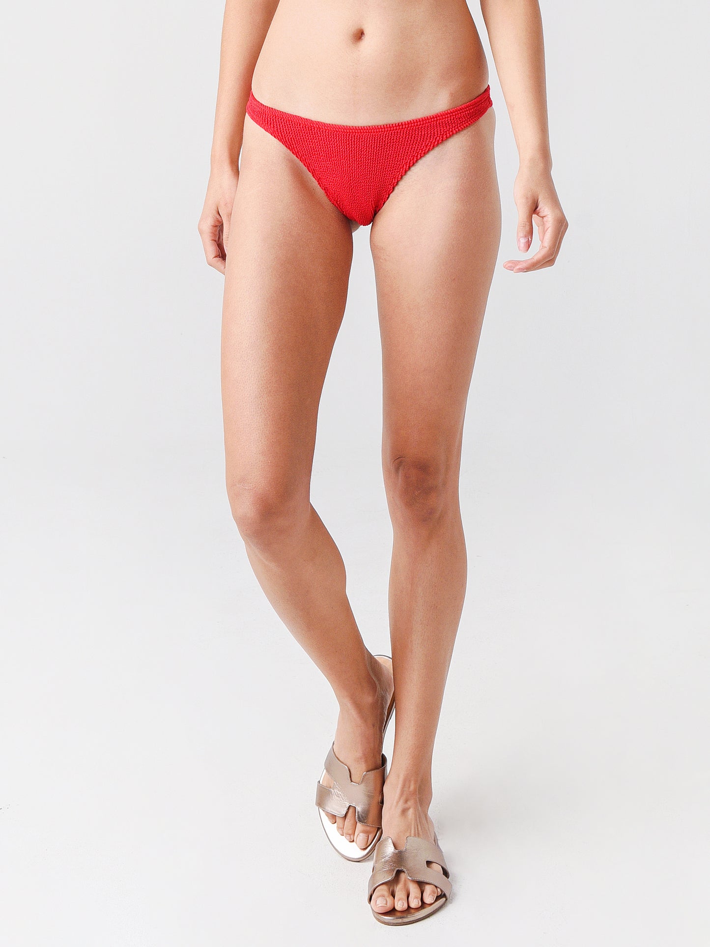 Bound By Bond Eye Women's The Scene Bikini Bottom - Saint Bernard