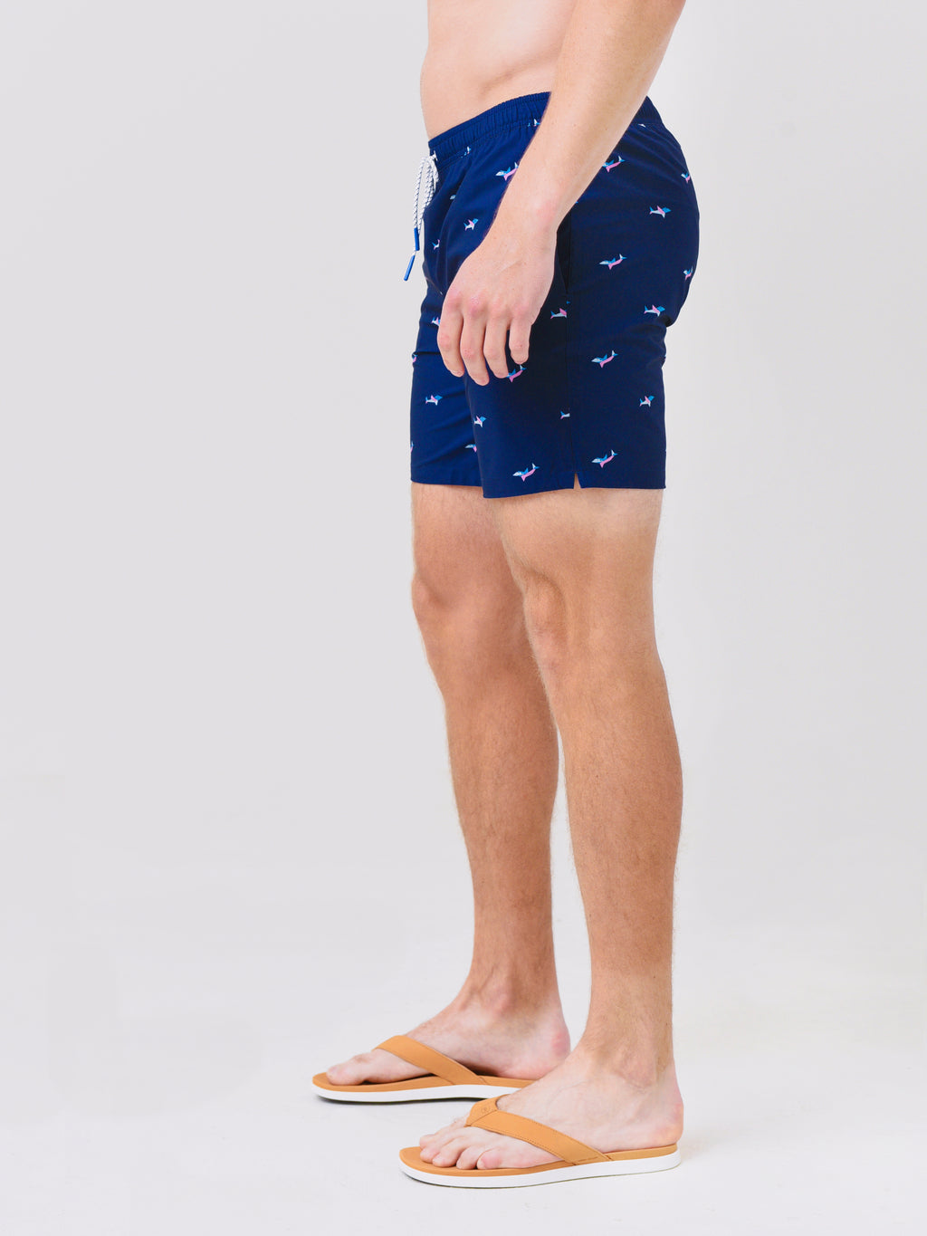 BSM10930NN1549xGEOSHARKS-alt2